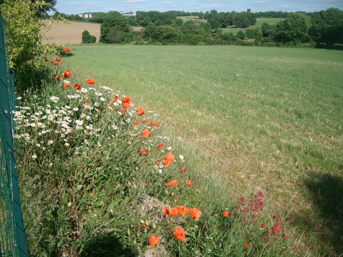 M. Clemenceau - Les Maisonnettes De La Maneliére La Flocellière Extérieur photo